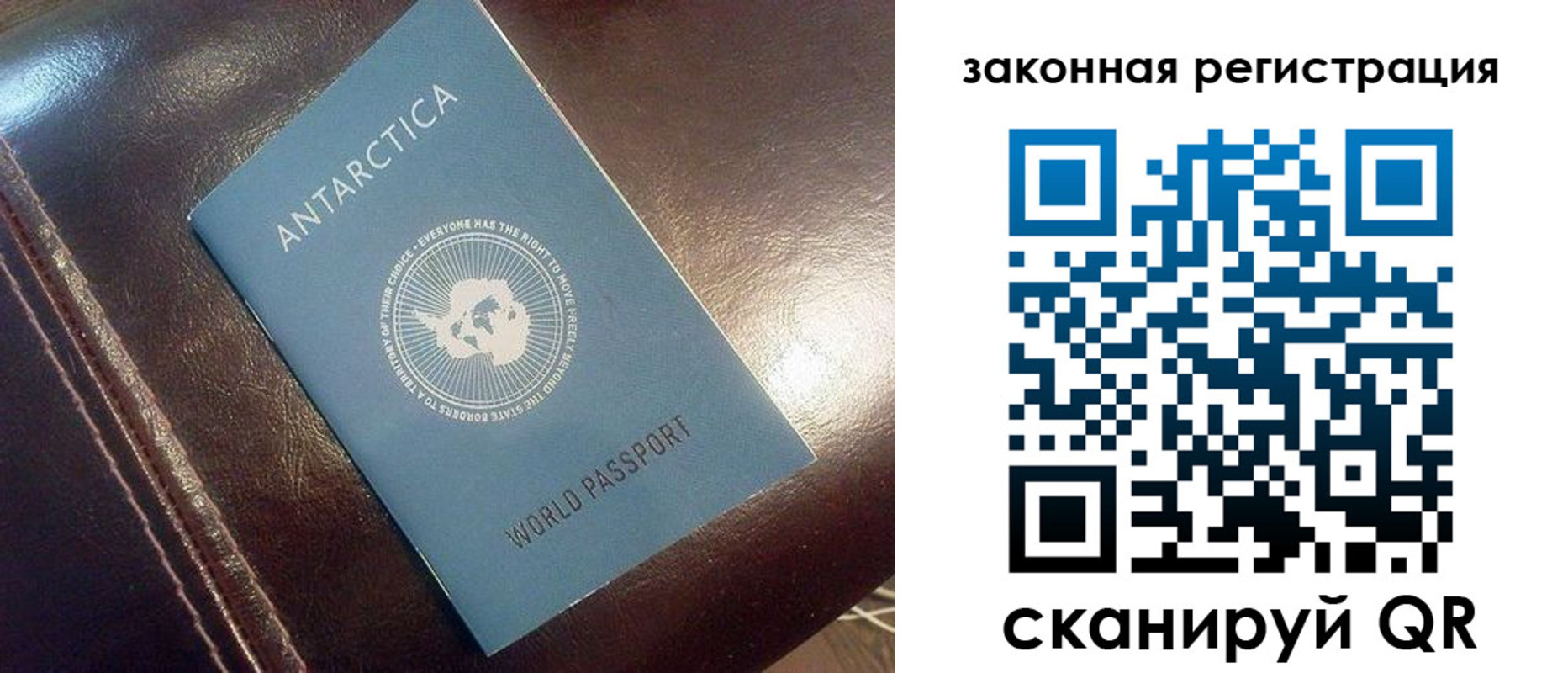 временная регистрация поиск в Амурской области
