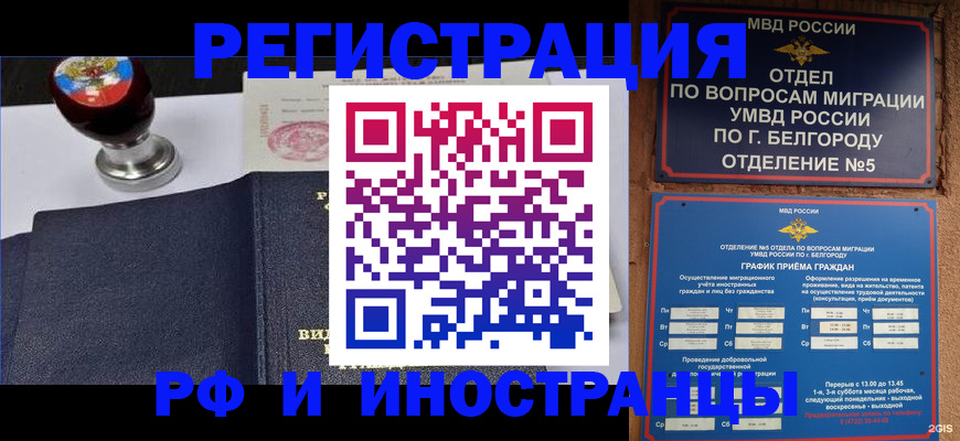 временная регистрация поиск в Амурской области